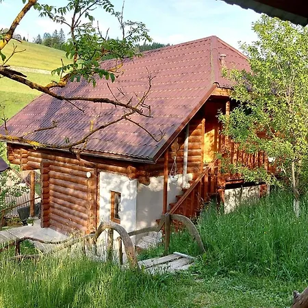 У Медовому Раю Villa Rostoka  Exterior photo
