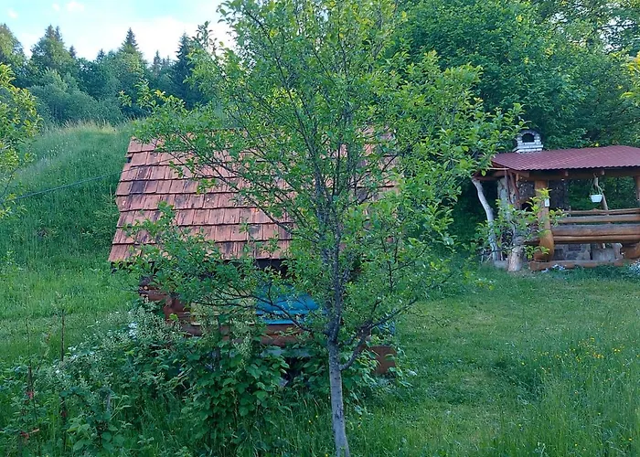 У Медовому Раю