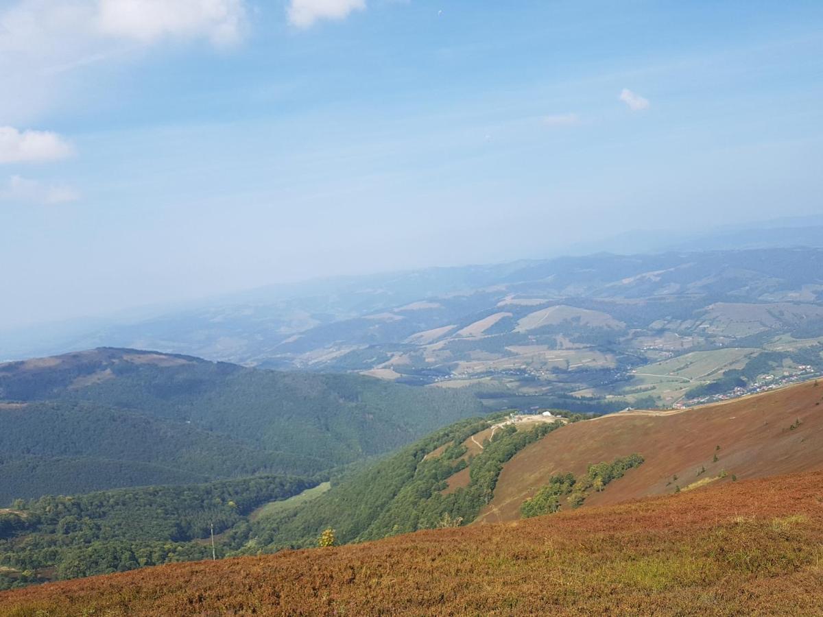 у медовому раю * Rostoka (Transcarpathia)