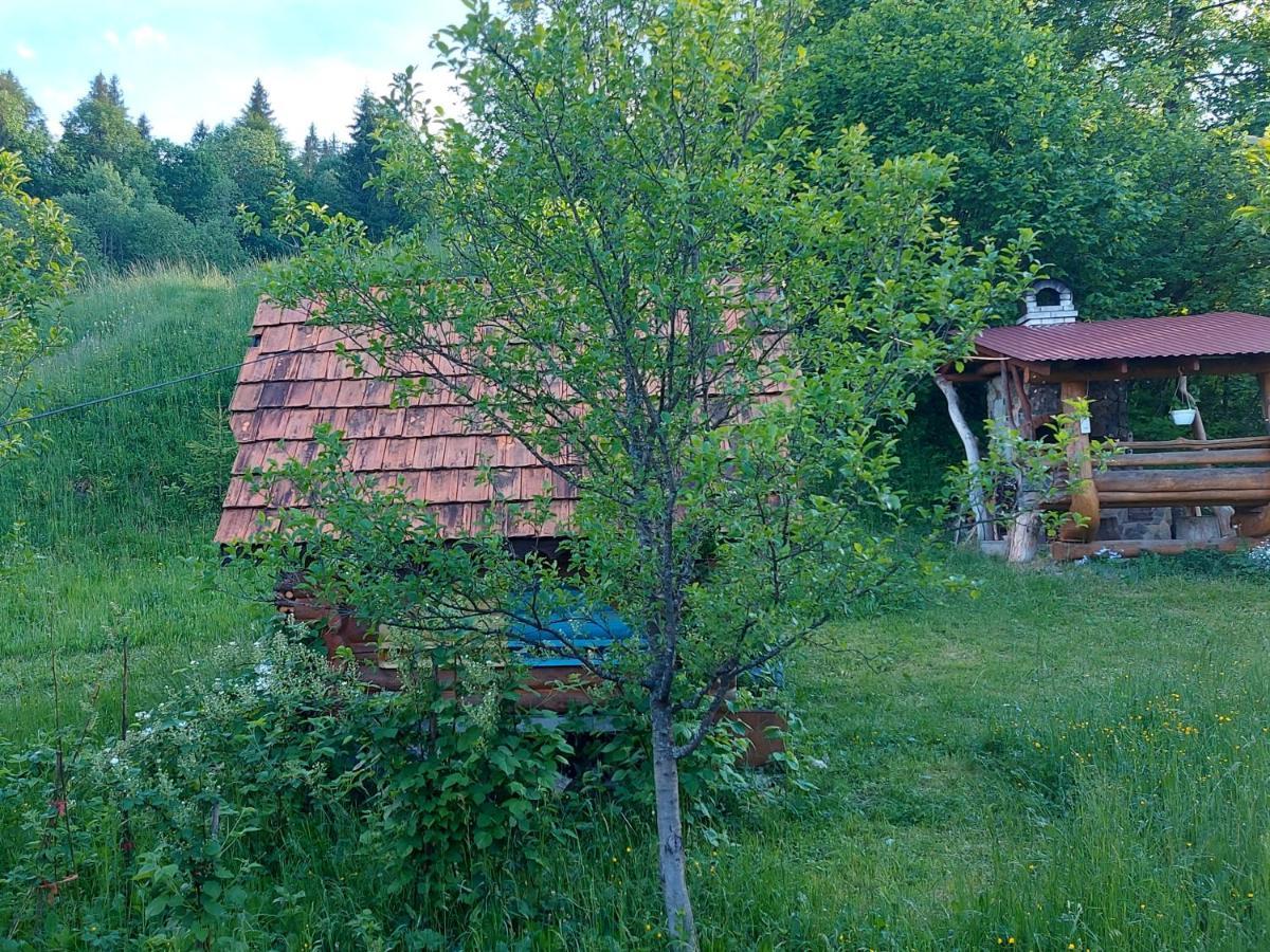 у медовому раю * Rostoka (Transcarpathia)