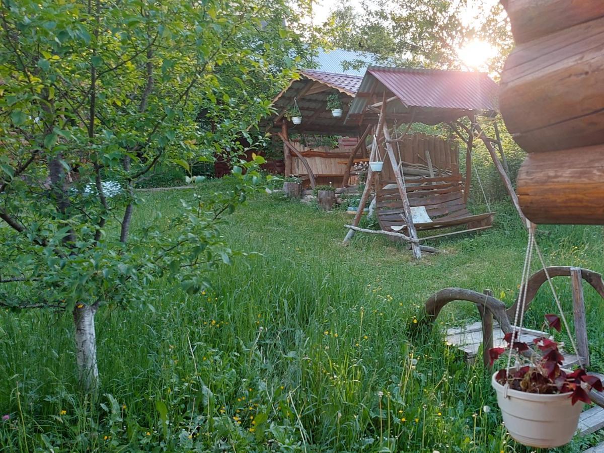 у медовому раю Будинок відпочинку Rostoka (Transcarpathia)