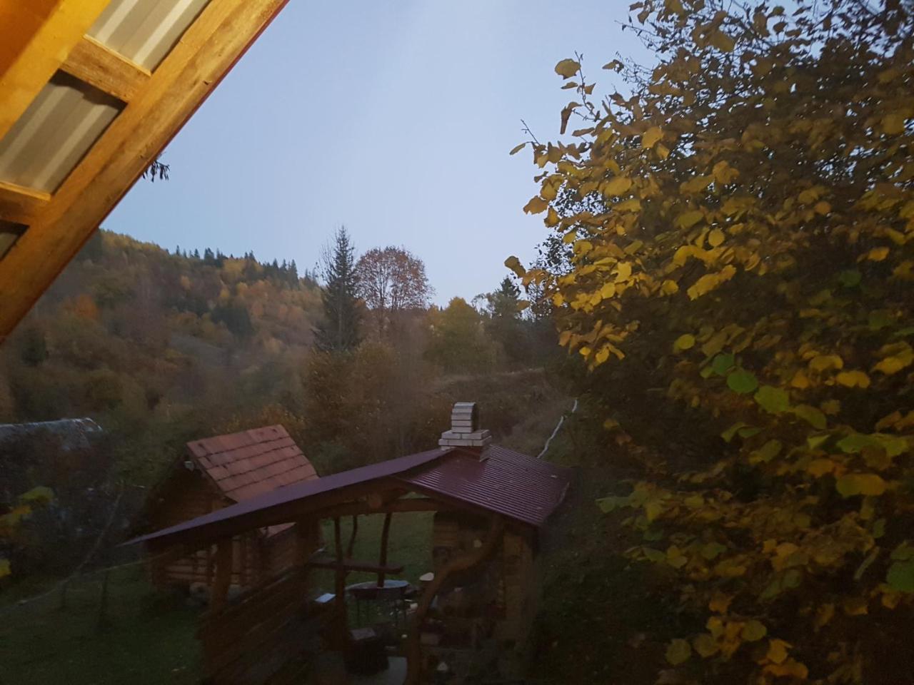 у медовому раю Rostoka (Transcarpathia)