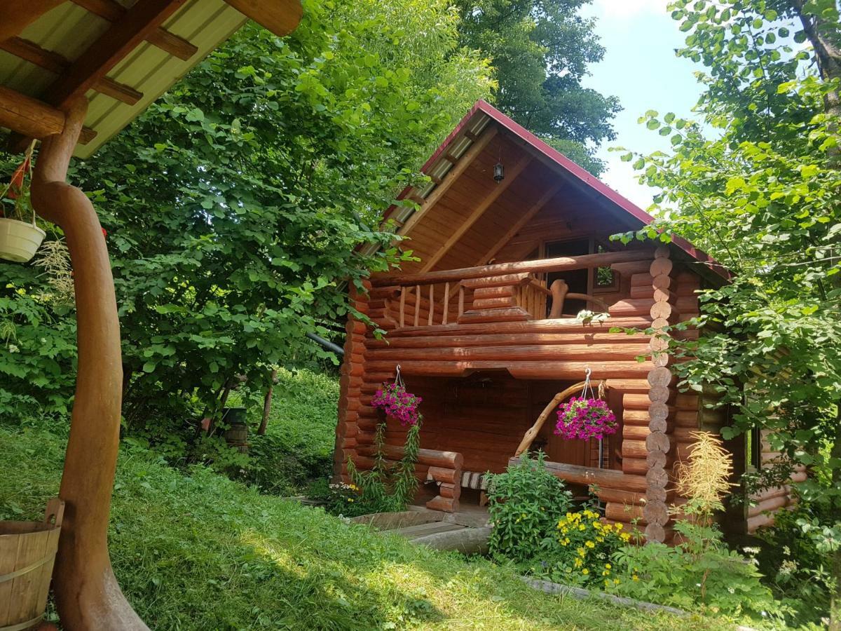у медовому раю Rostoka (Transcarpathia)