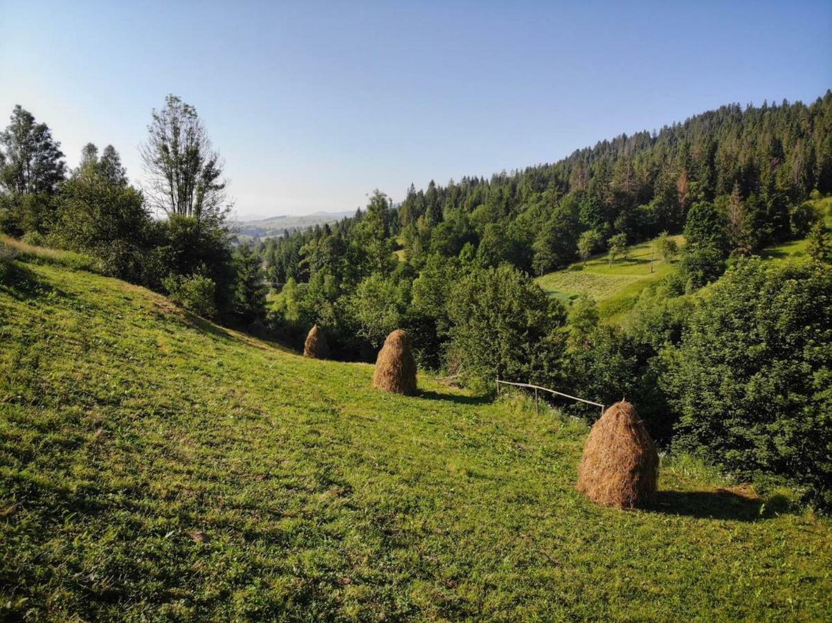 Ferienhaus у медовому раю *