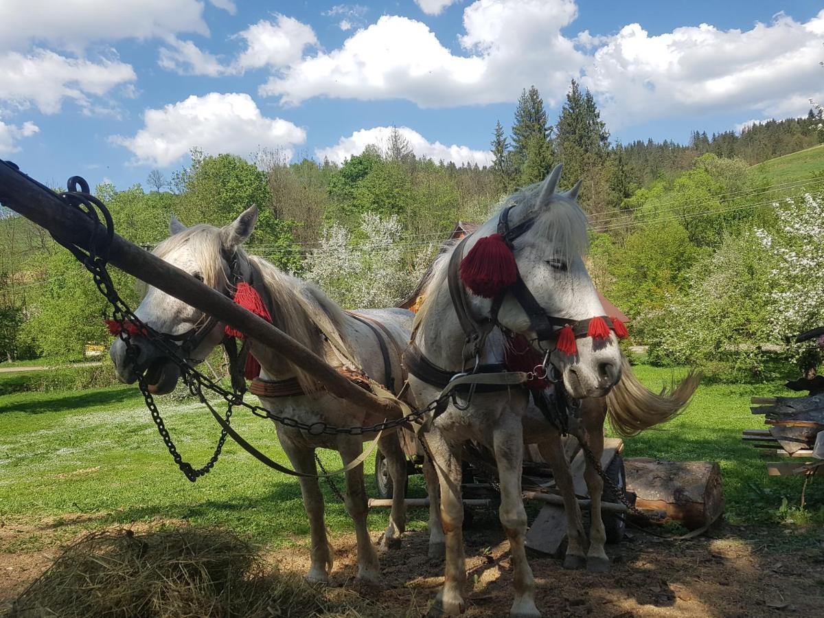 у медовому раю * Rostoka (Transcarpathia)