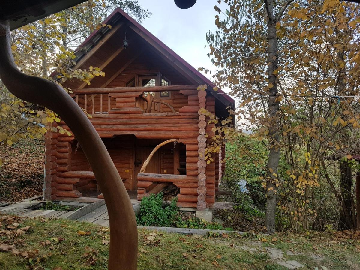у медовому раю Rostoka (Transcarpathia)